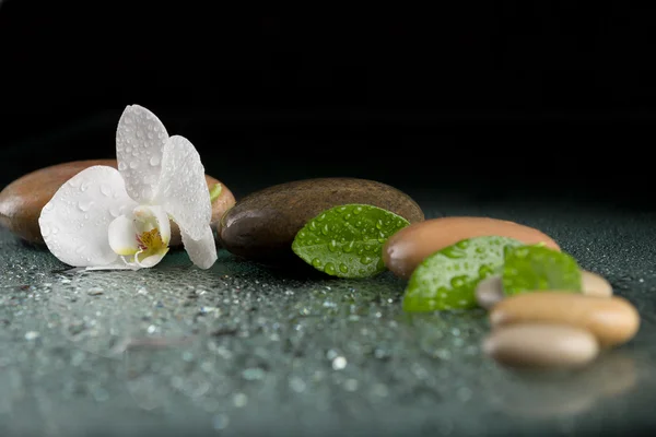 Zen-Steine mit Orchideenblüte auf schwarz — Stockfoto