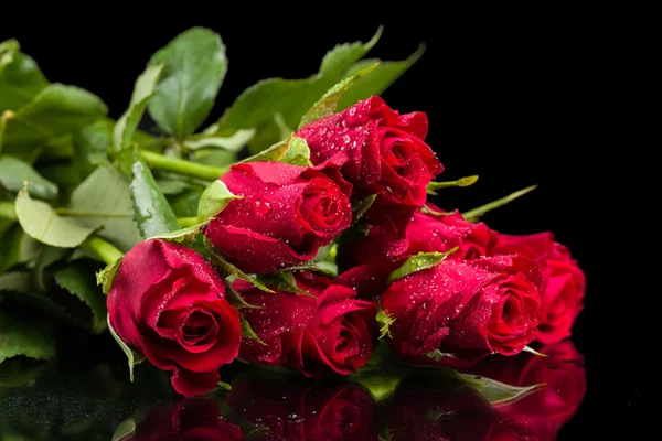 Čerstvé červené růže — Stock fotografie