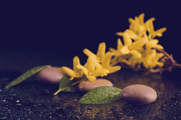Guijarros y flor amarilla en negro con gotas de agua —  Fotos de Stock