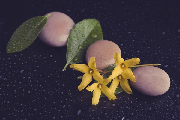 Kieselsteine und gelbe Blume auf schwarz mit Wassertropfen — Stockfoto