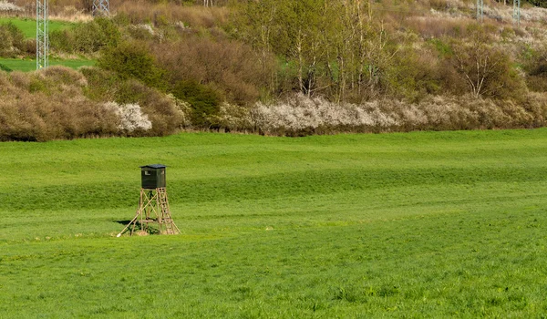 Hölzerner Jägerhochsitz, Jagdturm — Stockfoto