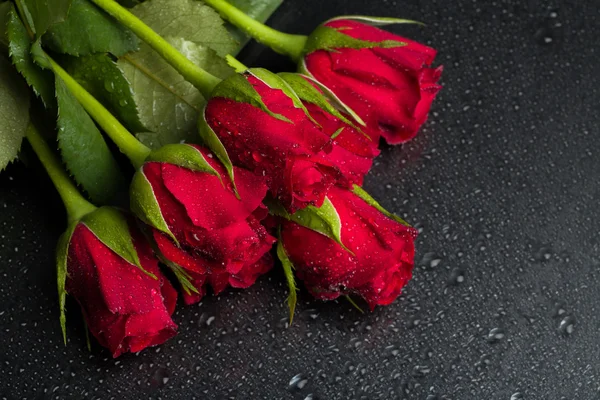 Fresh red roses — Stock Photo, Image