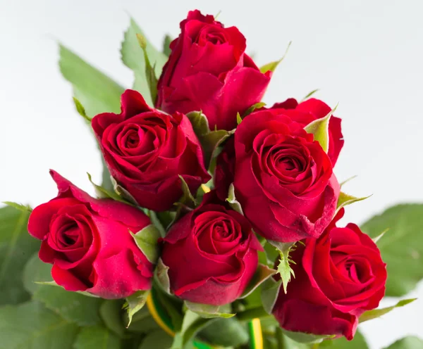 Bouquet di rose rosse fresche — Foto Stock