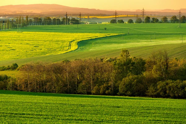 Hermoso paisaje rural de verano — Foto de Stock