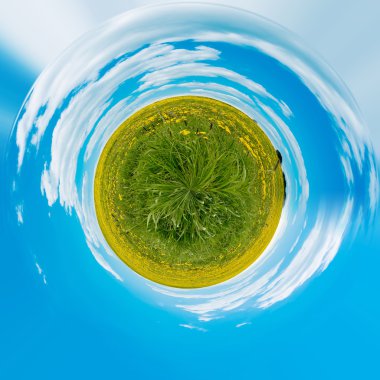 Güzel Küçük gezegen bahar karahindiba