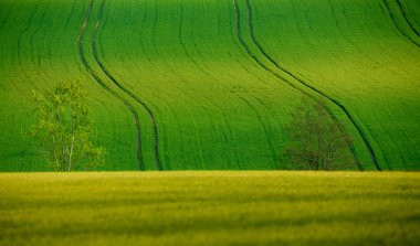 Güzel yaz kırsal manzara satırları