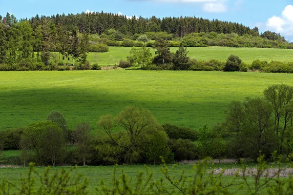 Belo verão paisagem rural — Fotografia de Stock