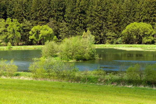 Belo verão paisagem rural — Fotografia de Stock