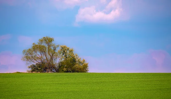 Hermoso paisaje rural de verano — Foto de Stock