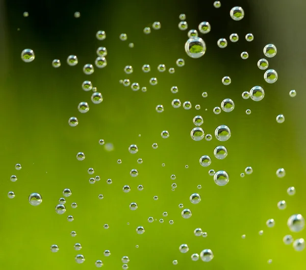 Green abstract background with water drops — Stock Photo, Image