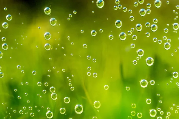 Green abstract background with water drops — Stock Photo, Image