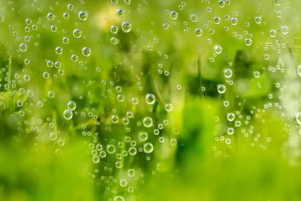 Green abstract background with water drops — Stock Photo, Image