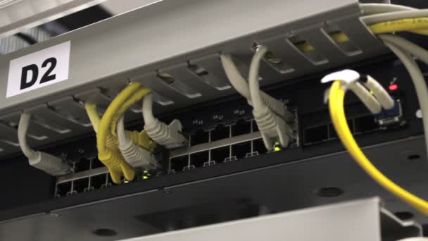 使用修补程序电缆连接技术室中的交换机 — 图库视频影像