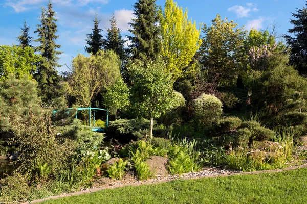 Prachtige lente tuin ontwerp — Stockfoto