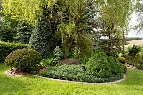 Schöne Frühlingsgartengestaltung — Stockfoto