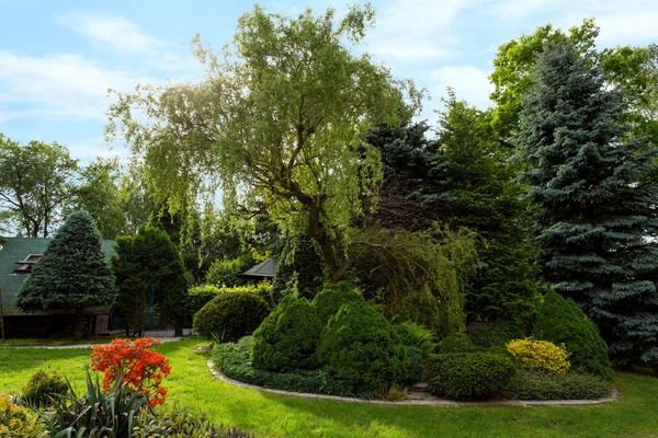 Szép tavaszi kert tervezése — Stock Fotó