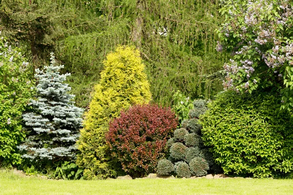 Hermoso diseño de jardín de primavera — Foto de Stock