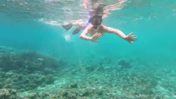 Filmagem subaquática de um jovem menino snorkeling — Vídeo de Stock