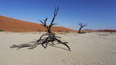 gizli ölü Vlei gündoğumu peyzaj