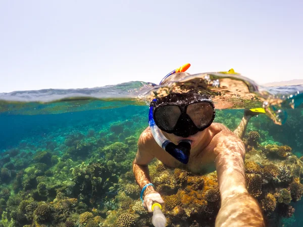 Snorkel swims in shallow water, Red Sea, Egypt — Stock Photo, Image