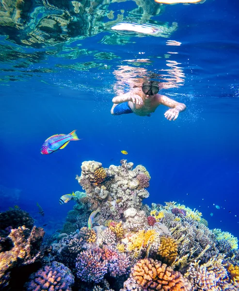 Підводний знімок молодого хлопчика, який занурюється в червоне море — стокове фото