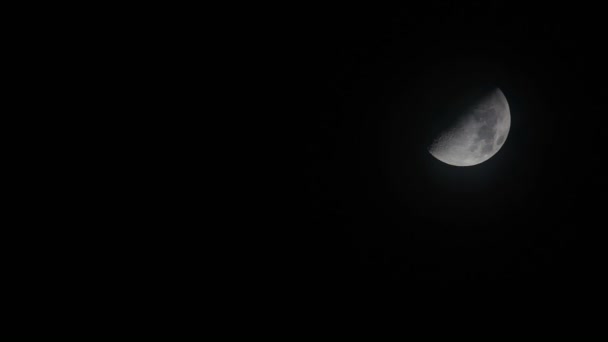 Noční obloha s half moon — Stock video