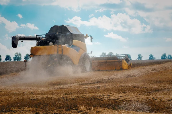 Yellov harvester op veld oogsten gouden tarwe — Stockfoto