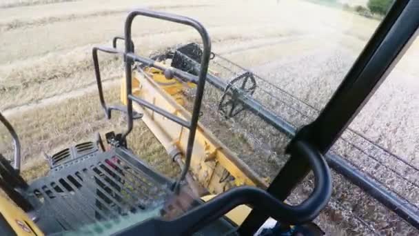 Agricultor yellov cosechadora en el campo — Vídeo de stock