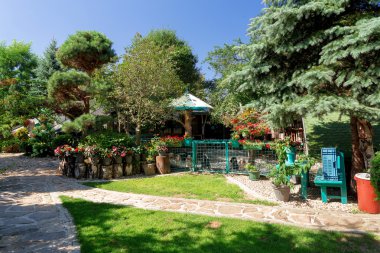 Kırmızı Yeni Gine Impatiens çiçek tencere