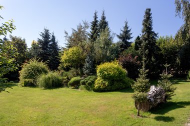 Güzel yaz Bahçe tasarımı