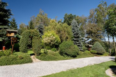 Güzel yaz Bahçe tasarımı