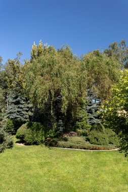 Güzel yaz Bahçe tasarımı