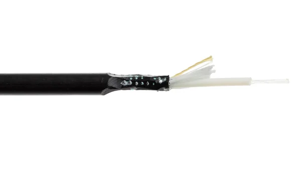 Fiber optic cable detail isolated on white — Stock Photo, Image