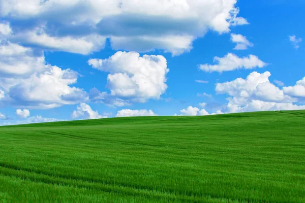 Weelderig Groen Landschap Met Blauwe Lucht Wolken Voorjaarsmilieu — Stockfoto