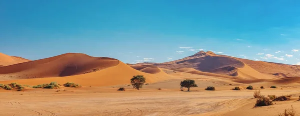 Dunas Sossusvlei Com Formas Vento Dunas Areia Namíbia Paisagem Árida — Fotografia de Stock