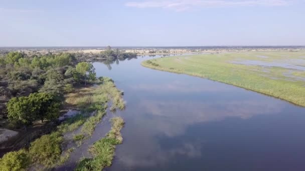 Río del delta del Okavango en el norte de Namibia, África — Vídeo de stock