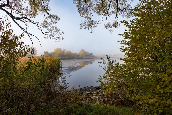 Gölette Serin Bir Sonbahar Sabahı Sisli Bir Manzara Jihlava Vysocina — Stok fotoğraf