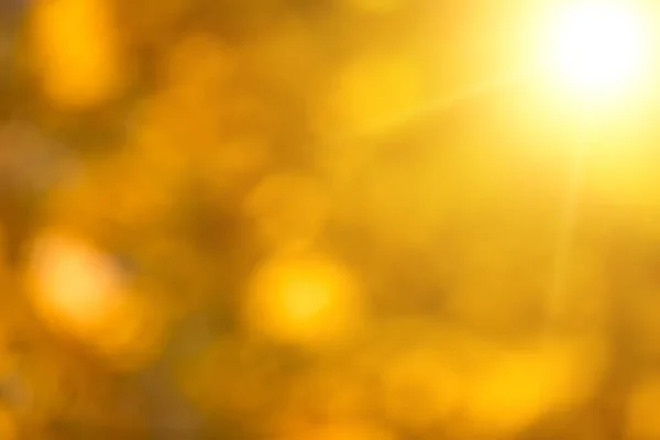 Herfst Natuurlijke Bokeh Achtergrond Achtergrond Herfst Seizoen Grafisch Object — Stockfoto