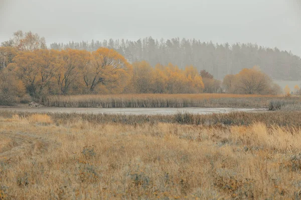Kurutulmuş Gölette Serin Bir Sonbahar Sabahı Sisli Bir Manzara Jihlava — Stok fotoğraf