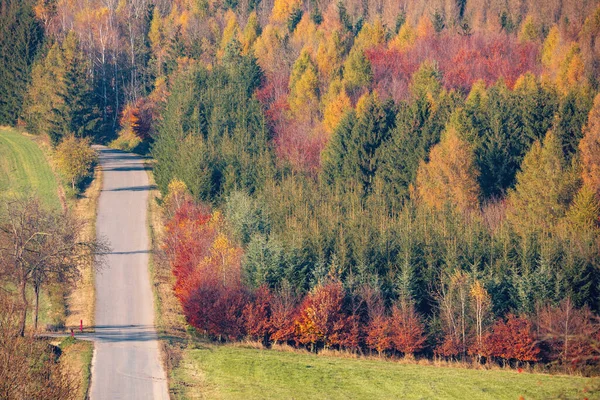 View Colorful Deciduous Forest Rural Road Autumn Multicolored Yellow Orange — Stock Photo, Image