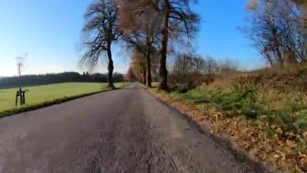 Bil drev i efteråret med efterår farvede træer – Stock-video