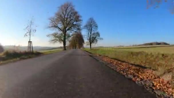 Autofahrt im Herbst mit umstürzenden Bäumen — Stockvideo