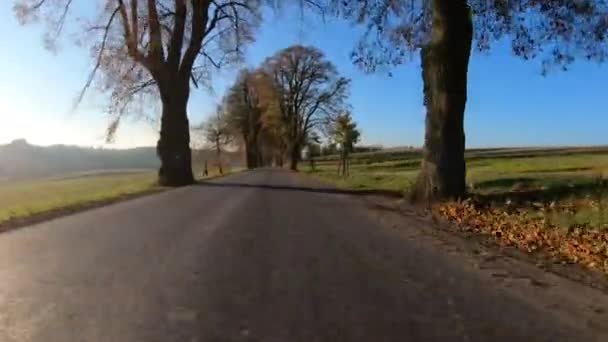 Car drive in Autumn with fall colored trees — Stock Video