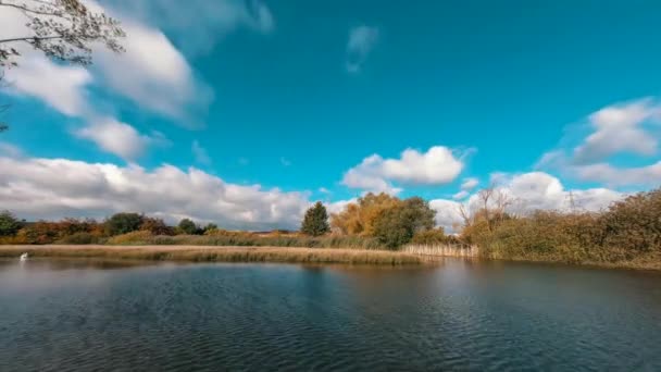 Efterårsfarver reflekteret dam time-lapse – Stock-video