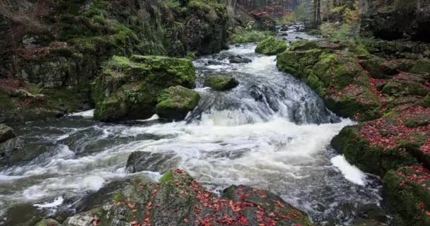 野生的杜布拉瓦河，秋天的风景 — 图库视频影像