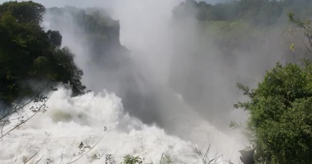 The Victoria Falls, Zimbabué, África — Vídeo de Stock