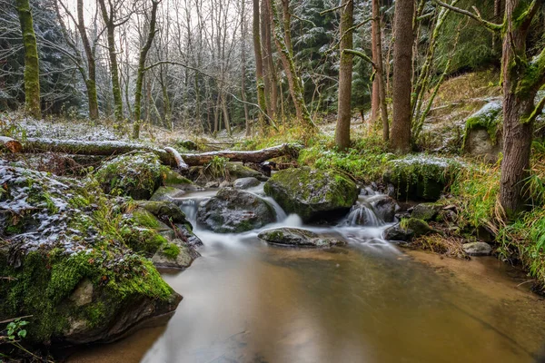 Ormandaki Küçük Bir Dağ Deresinde Çağlayan Süt Gibi Suyla Uzun — Stok fotoğraf