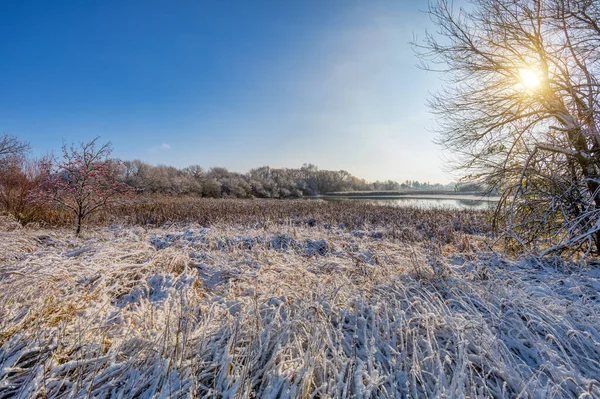 Fresco Mattino Autunno Allo Stagno Drenato Paesaggio Nebbioso Jihlava Vysocina — Foto Stock