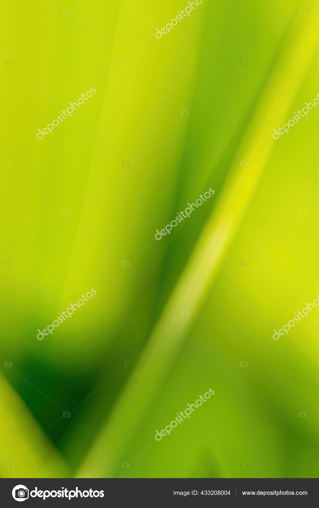 模糊的自然背景与浅焦点和bokeh 墙纸或背景使用春光背景春回流天然背景天然墙纸春天墙纸 图库照片 C Artush 模糊的自然背景与浅焦点和bokeh 墙纸或背景使用春光背景春回流天然背景天然墙纸春天墙纸 图库照片 C Artush