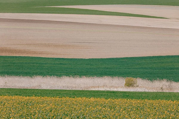 Piękny Wiosenny Krajobraz Wiejski Zaoranymi Polami Ziarnem Pszenicy Krajobraz Wiejski — Zdjęcie stockowe